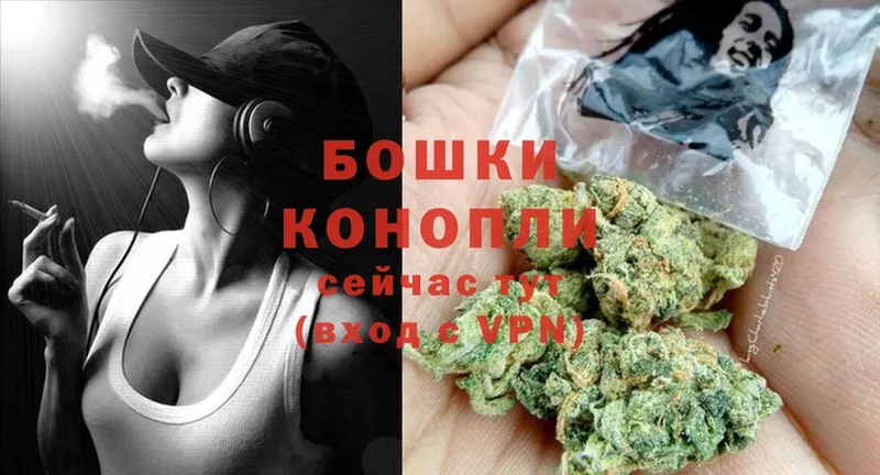 Шишки марихуана OG Kush  Энем 